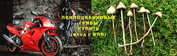 MDMA Михайловск