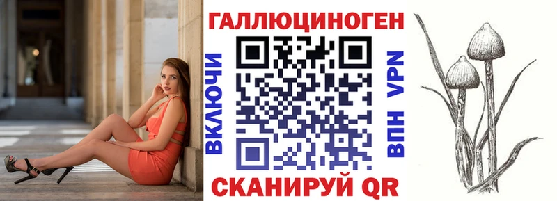 Псилоцибиновые грибы Psilocybe  Тайшет 