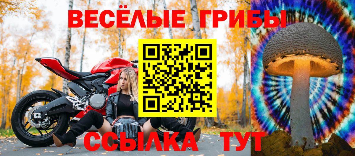 Псилоцибиновые грибы прущие грибы Тайшет