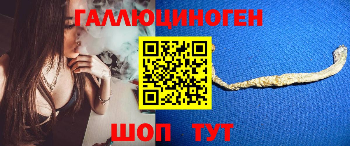 Тайшет  Псилоцибиновые грибы ЛСД  Вход с VPN 
