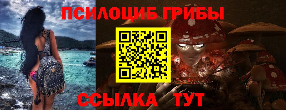 Галлюциногенные грибы Psilocybe Тайшет